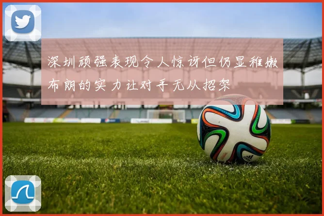 深圳顽强表现令人惊讶但仍显稚嫩布朗的实力让对手无从招架